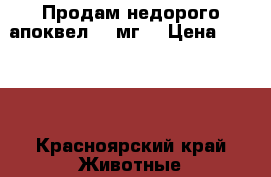 Продам недорого апоквел 16 мг. › Цена ­ 3 000 - Красноярский край Животные и растения » Аксесcуары и товары для животных   . Красноярский край